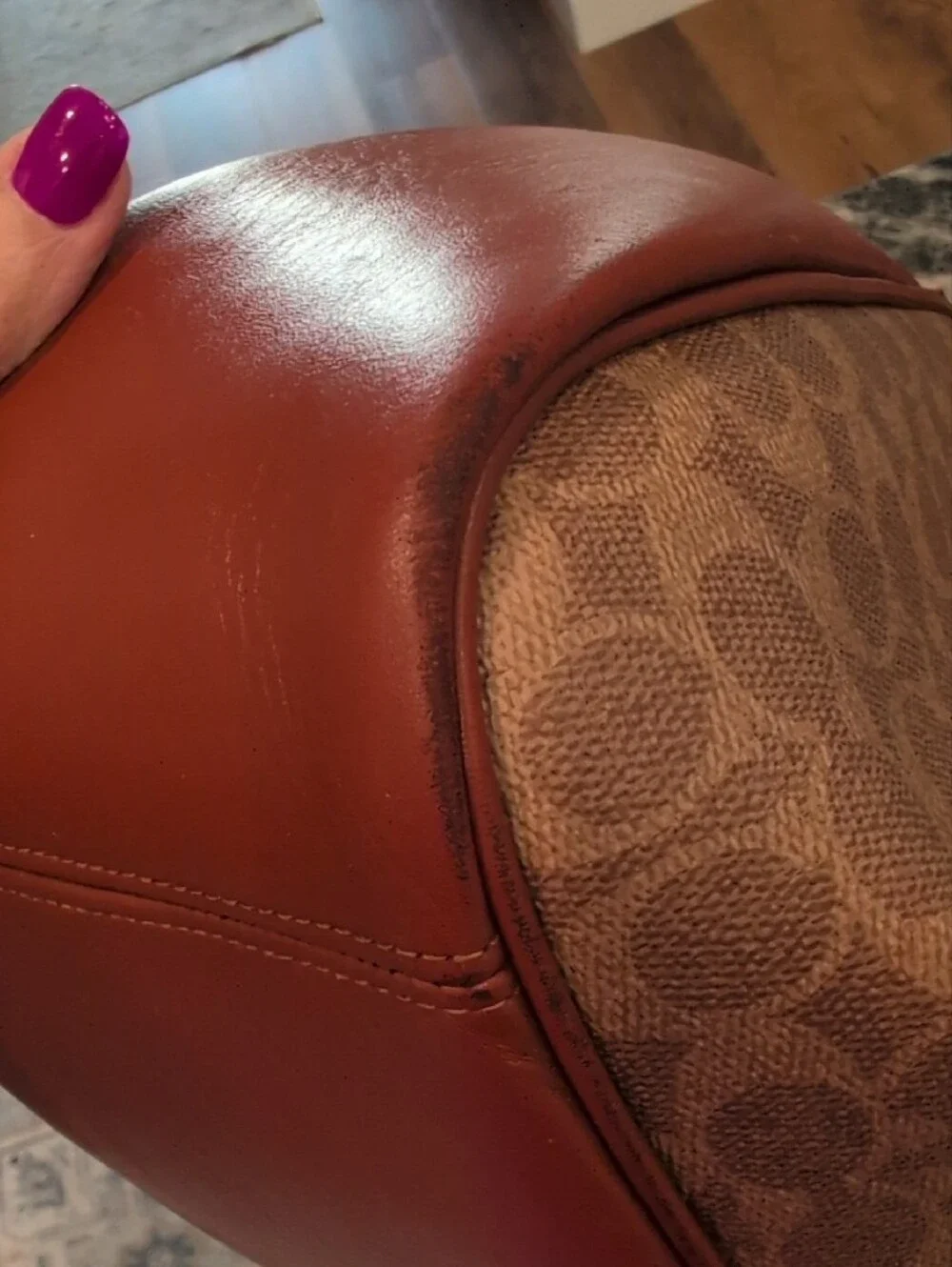 Coach Cary Signature Canvas And Leather Hobo Bag